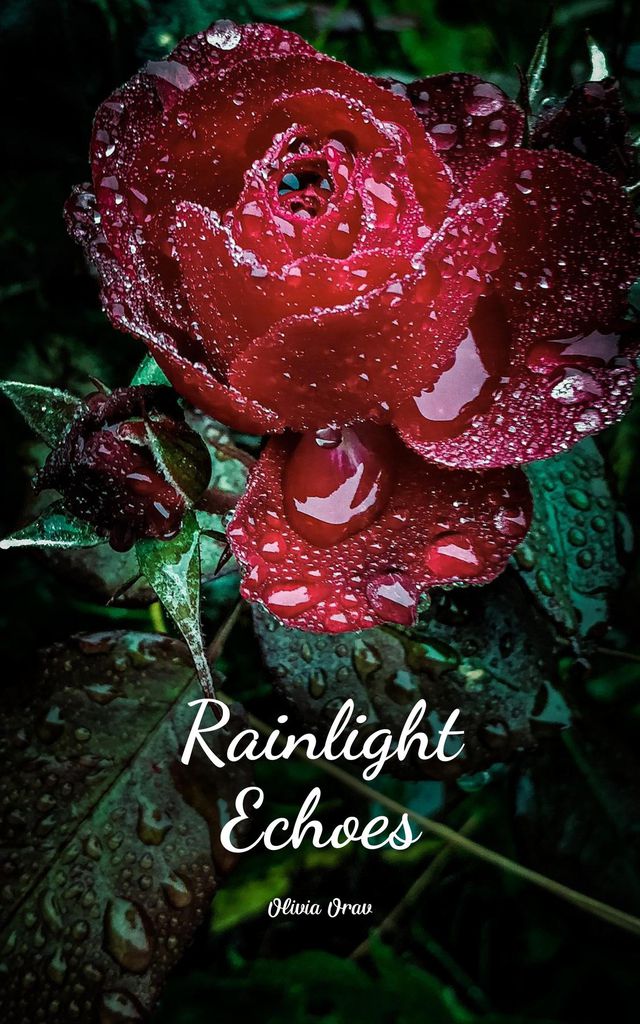 Cover image for Rainlight Echoes