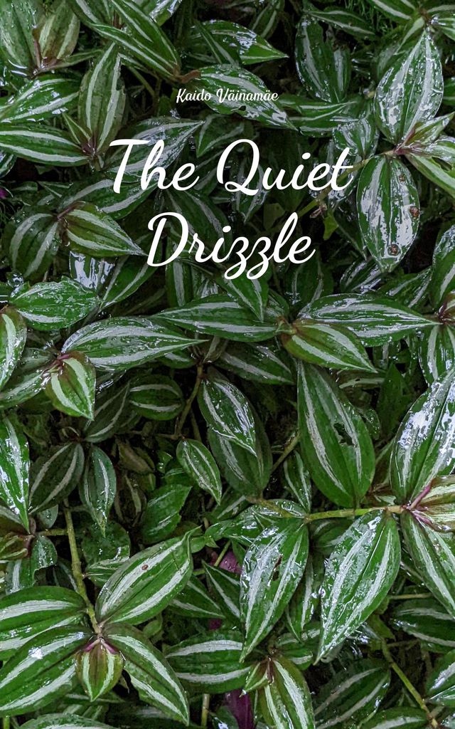 Cover image for The Quiet Drizzle