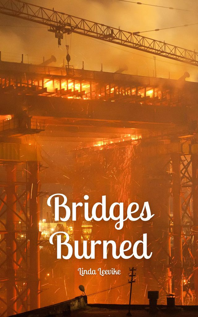 Cover image for Bridges Burned