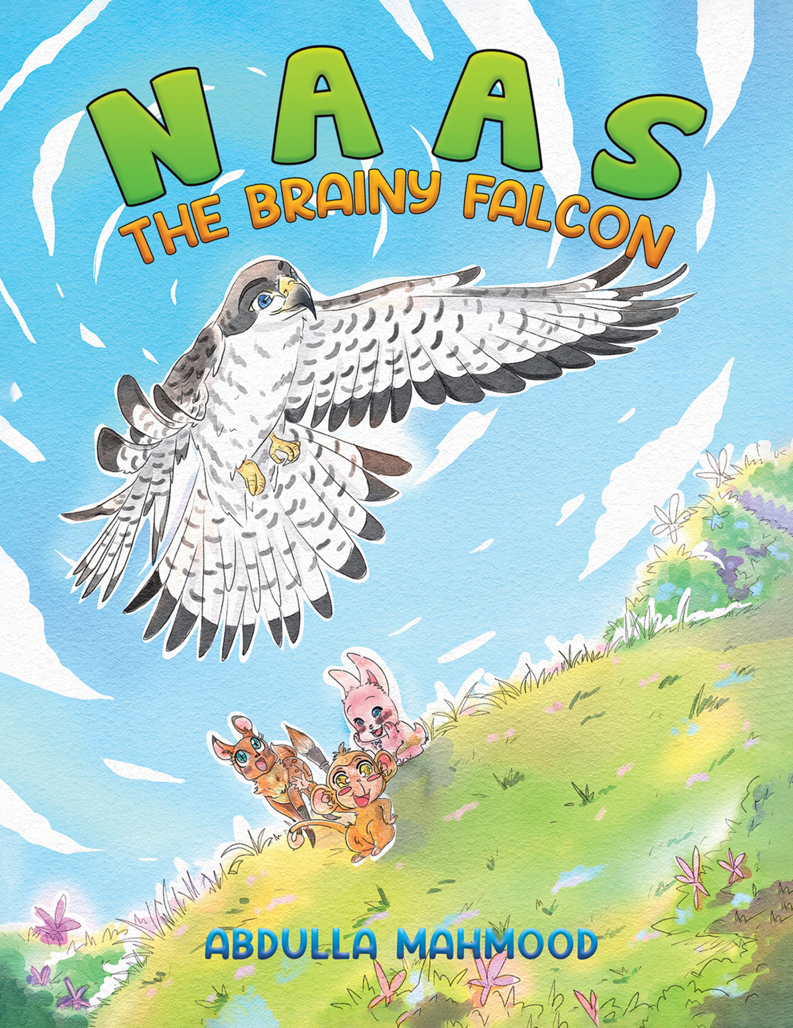 Cover image for Naas  The Brainy Falcon