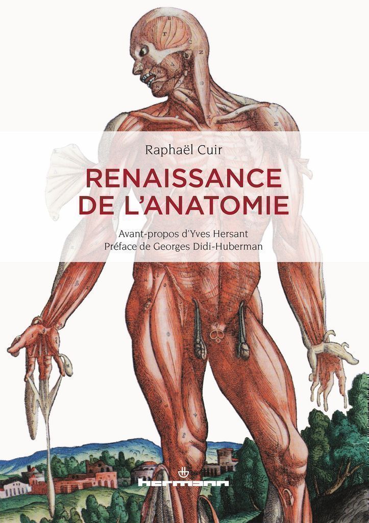 Cover image for Renaissance de l'anatomie