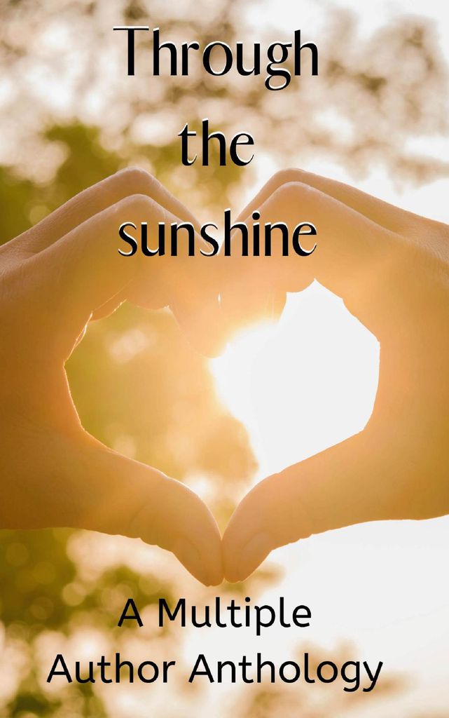 Cover image for Through The Sunshine