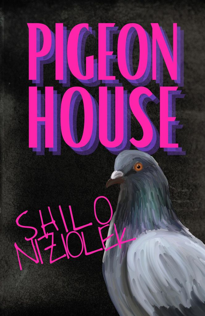 Cover image for Pigeon House