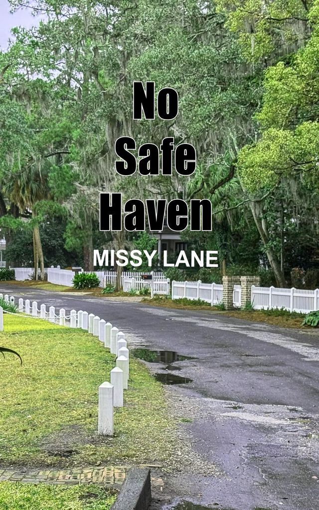 Cover image for No Safe Haven