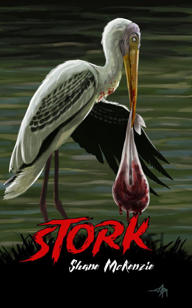 Cover image for Stork