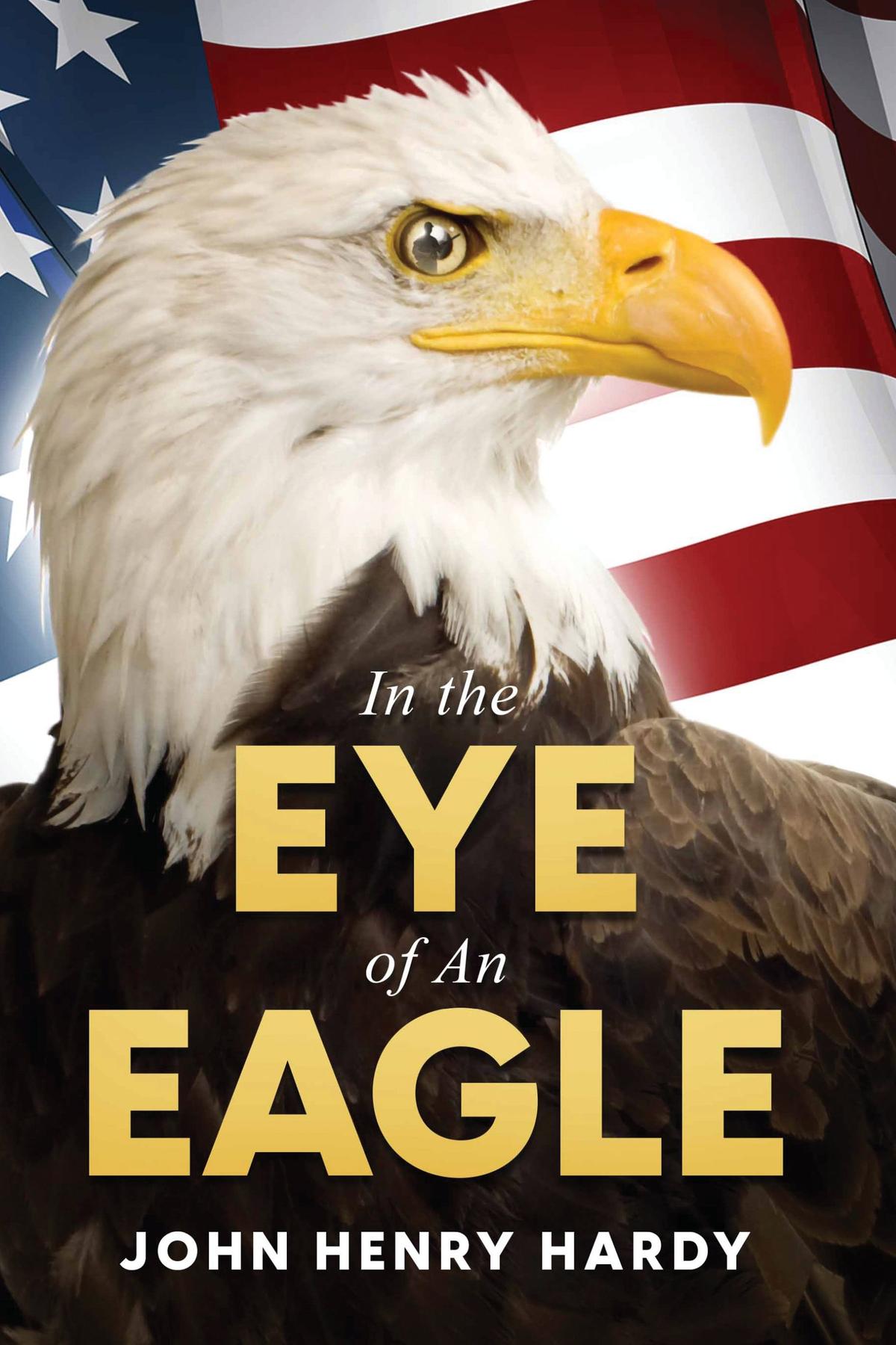 Cover image for In the Eye of an Eagle