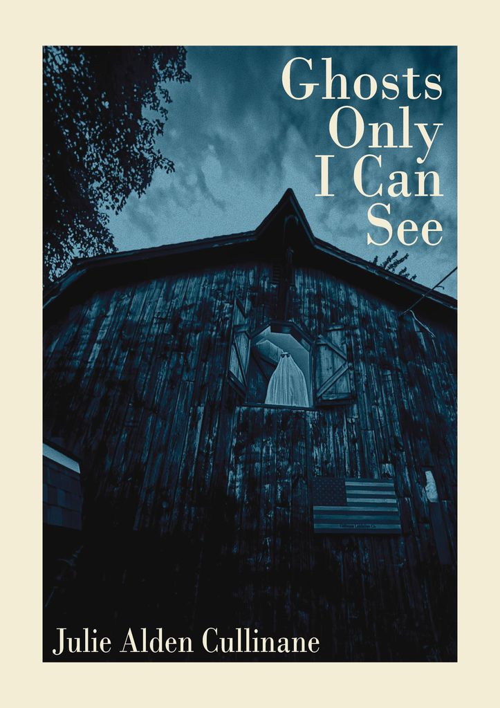 Cover image for Ghosts Only I Can See