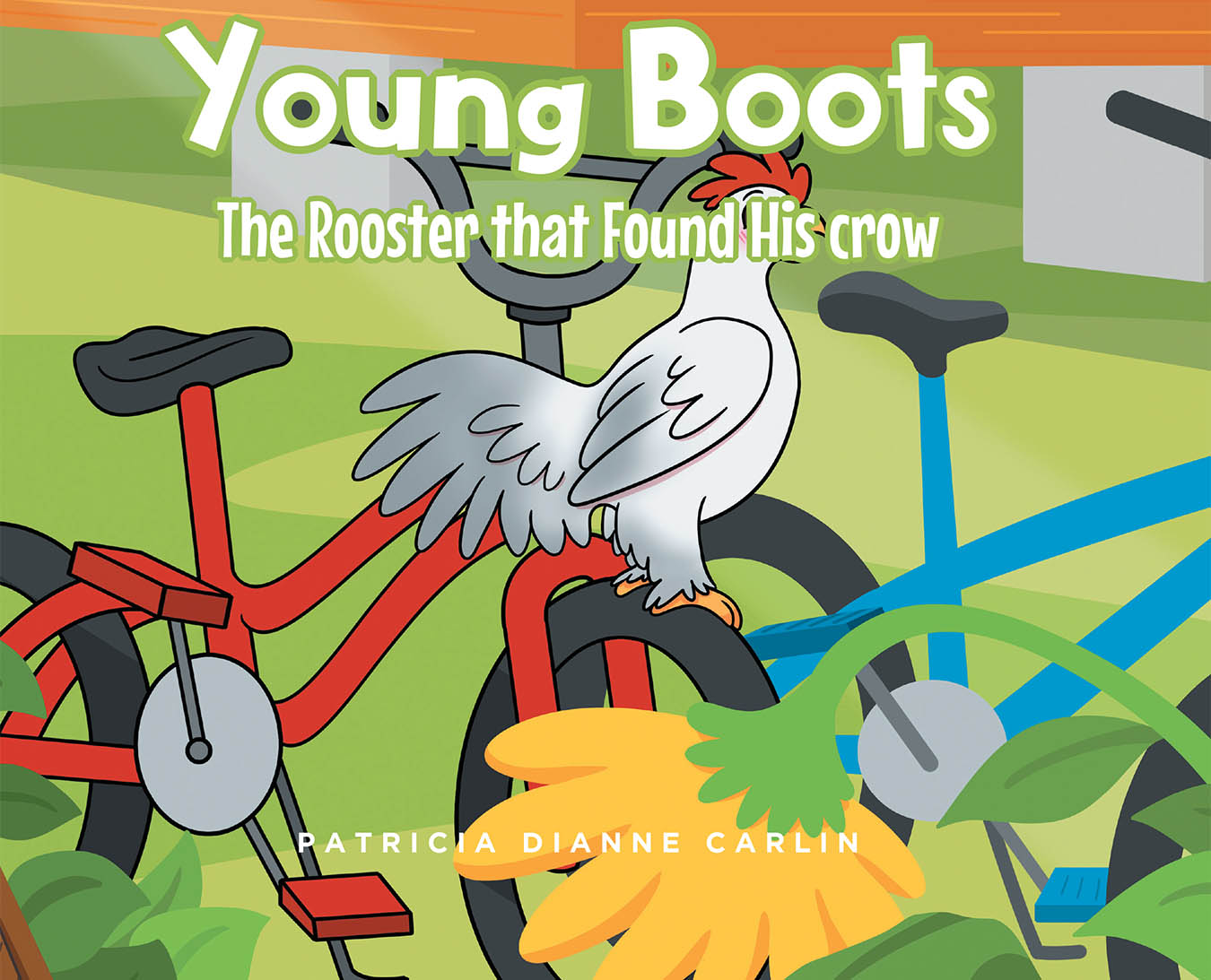 Cover image for Young Boots