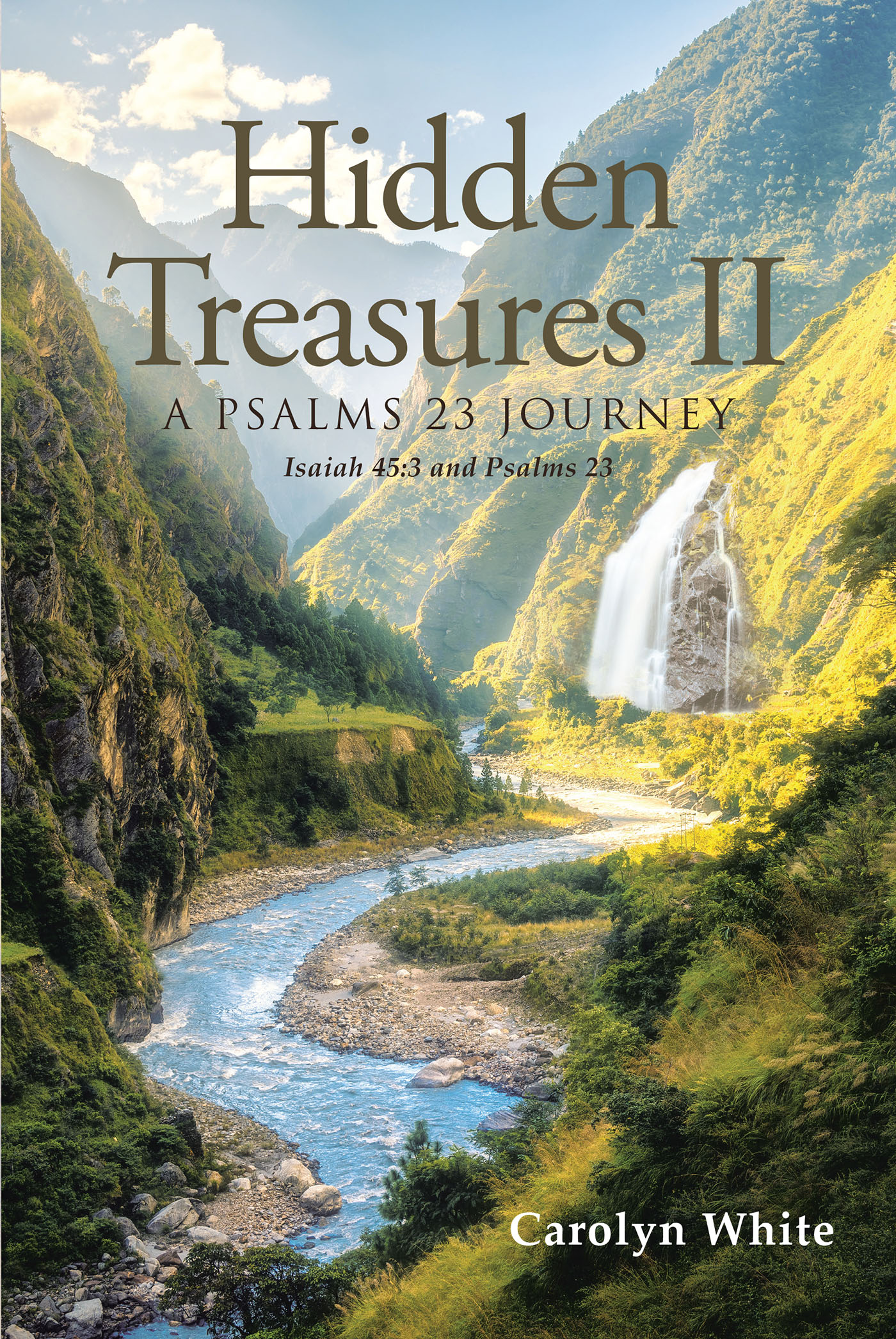 Cover image for Hidden Treasures II