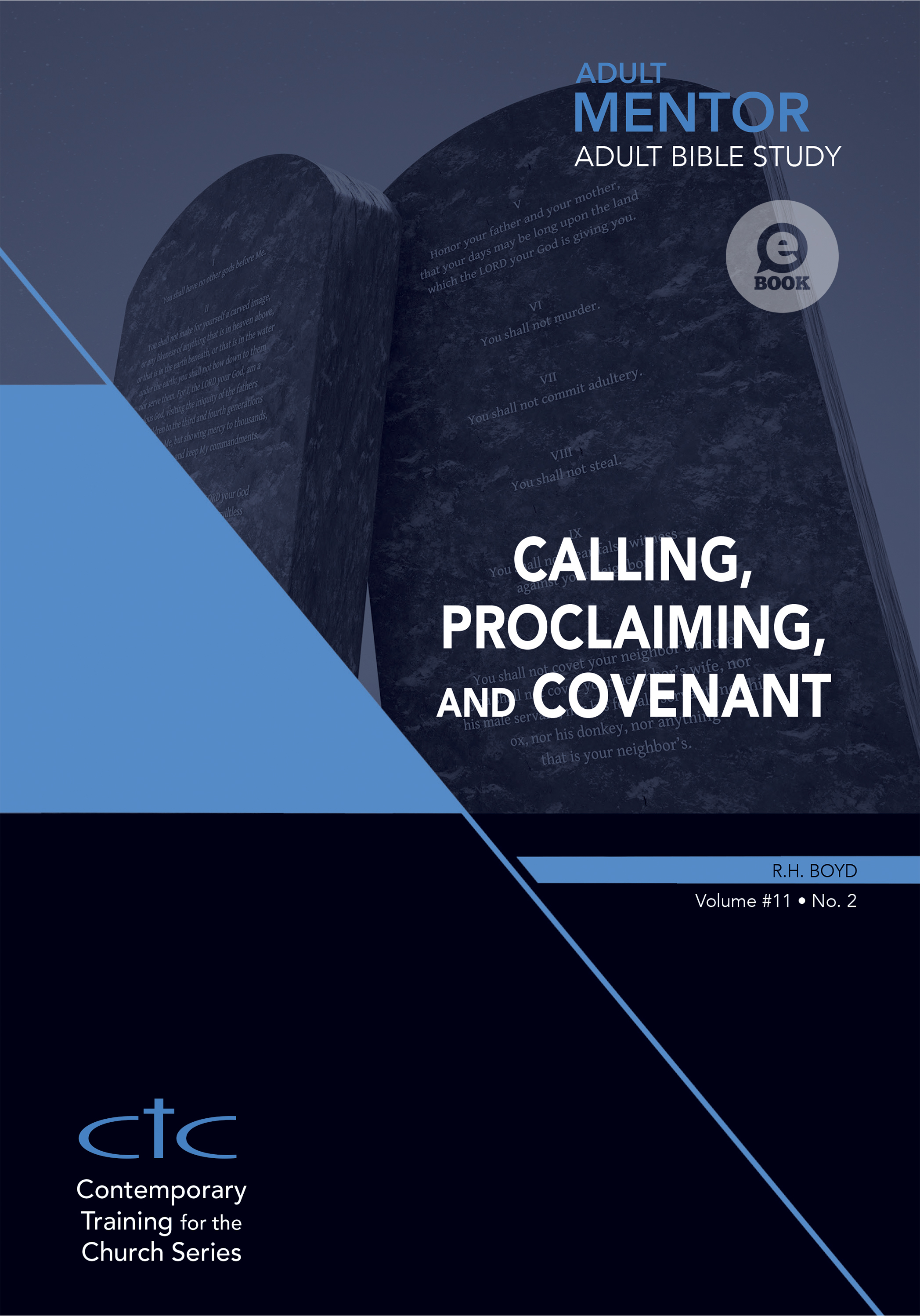 Cover image for Adult Mentor