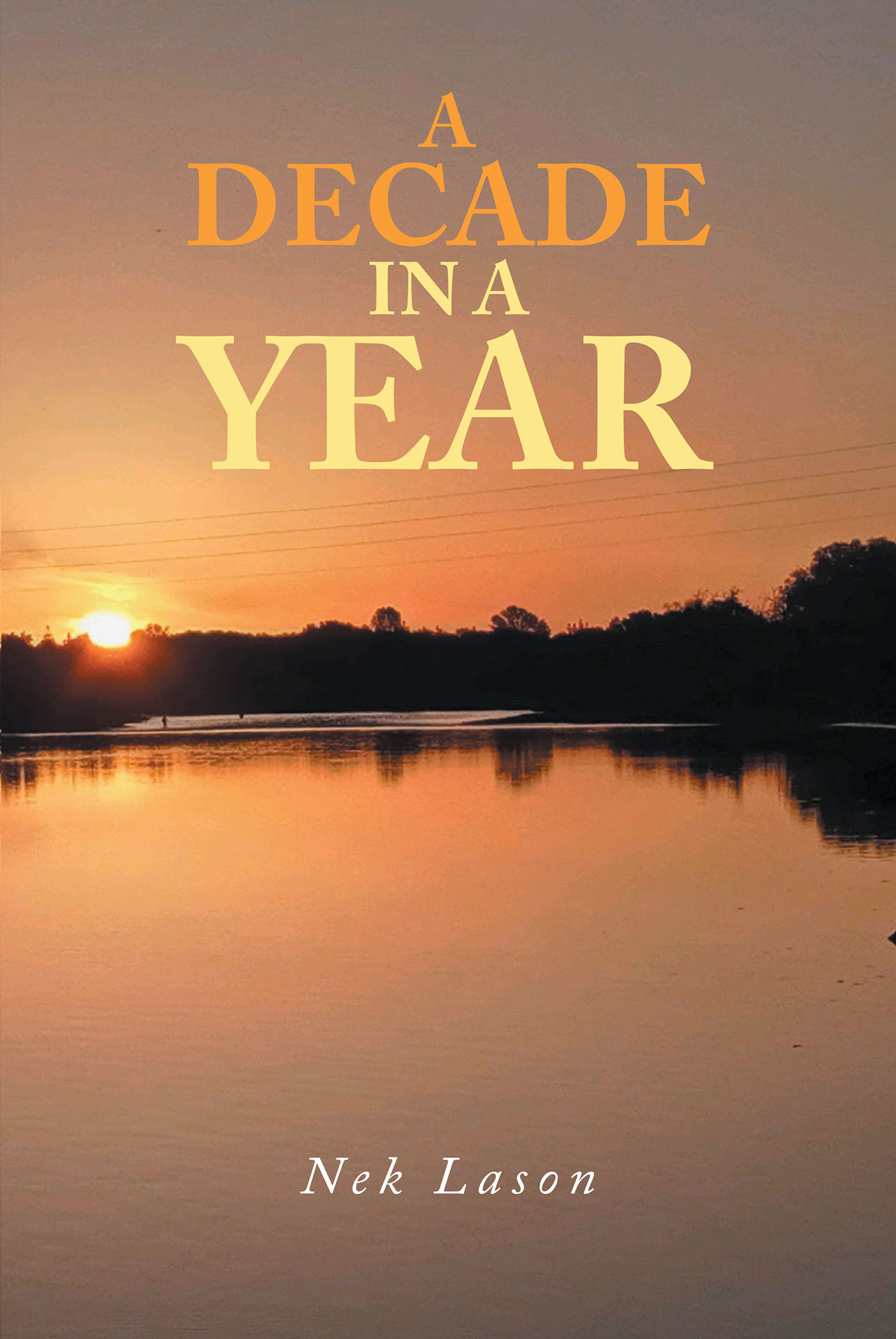 Cover image for A Decade In A Year