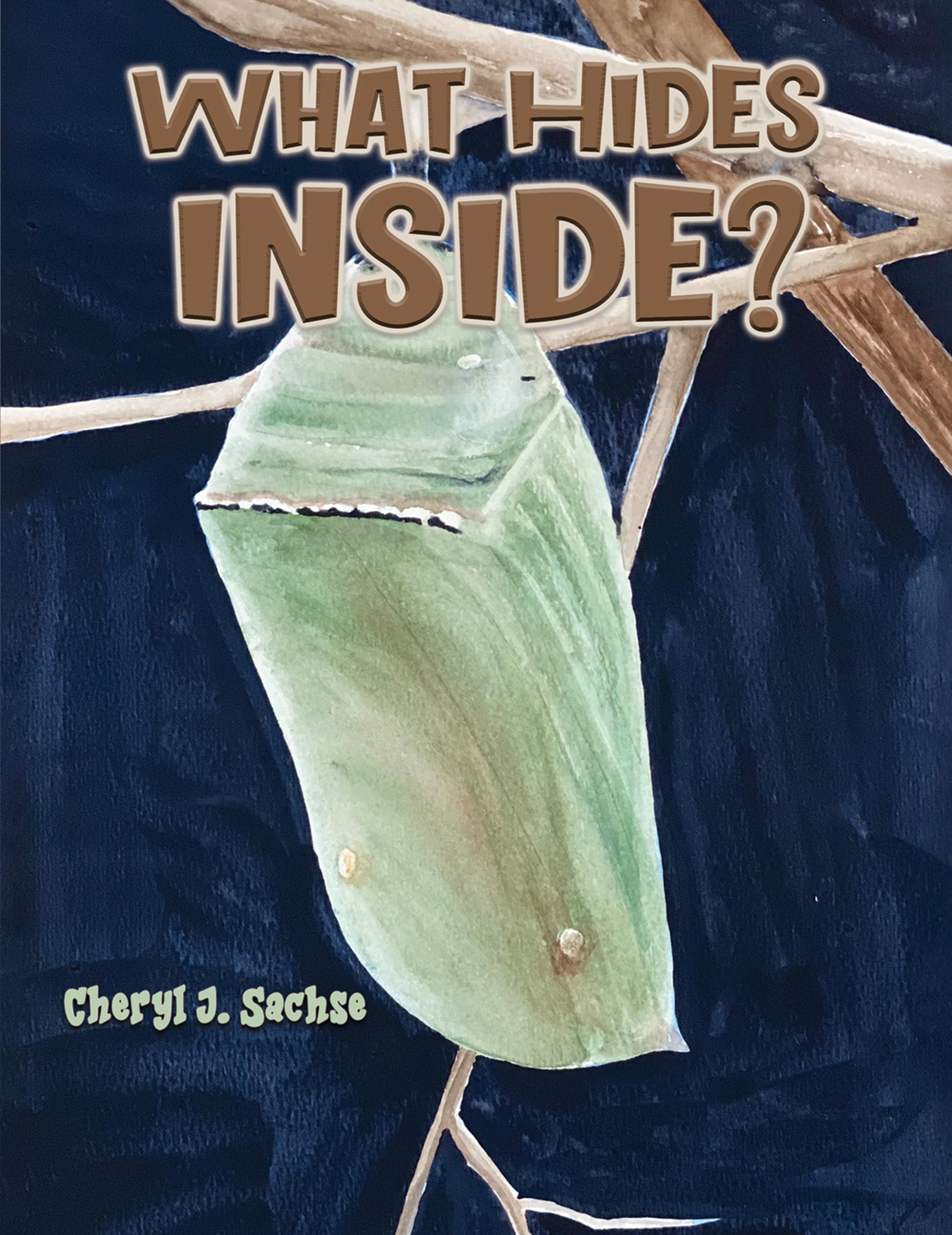 Cover image for What Hides Inside?