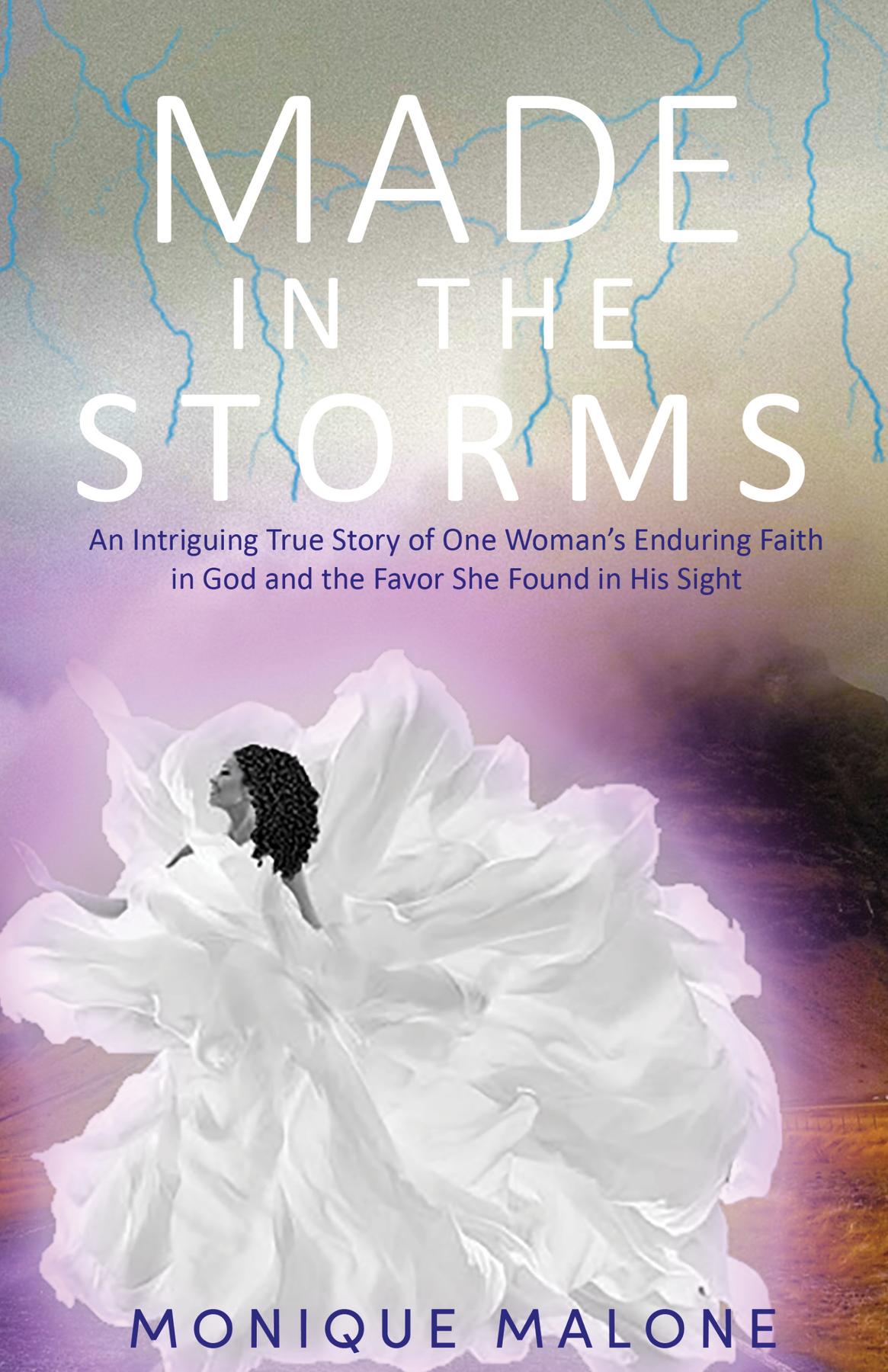 Cover image for Made in the Storms