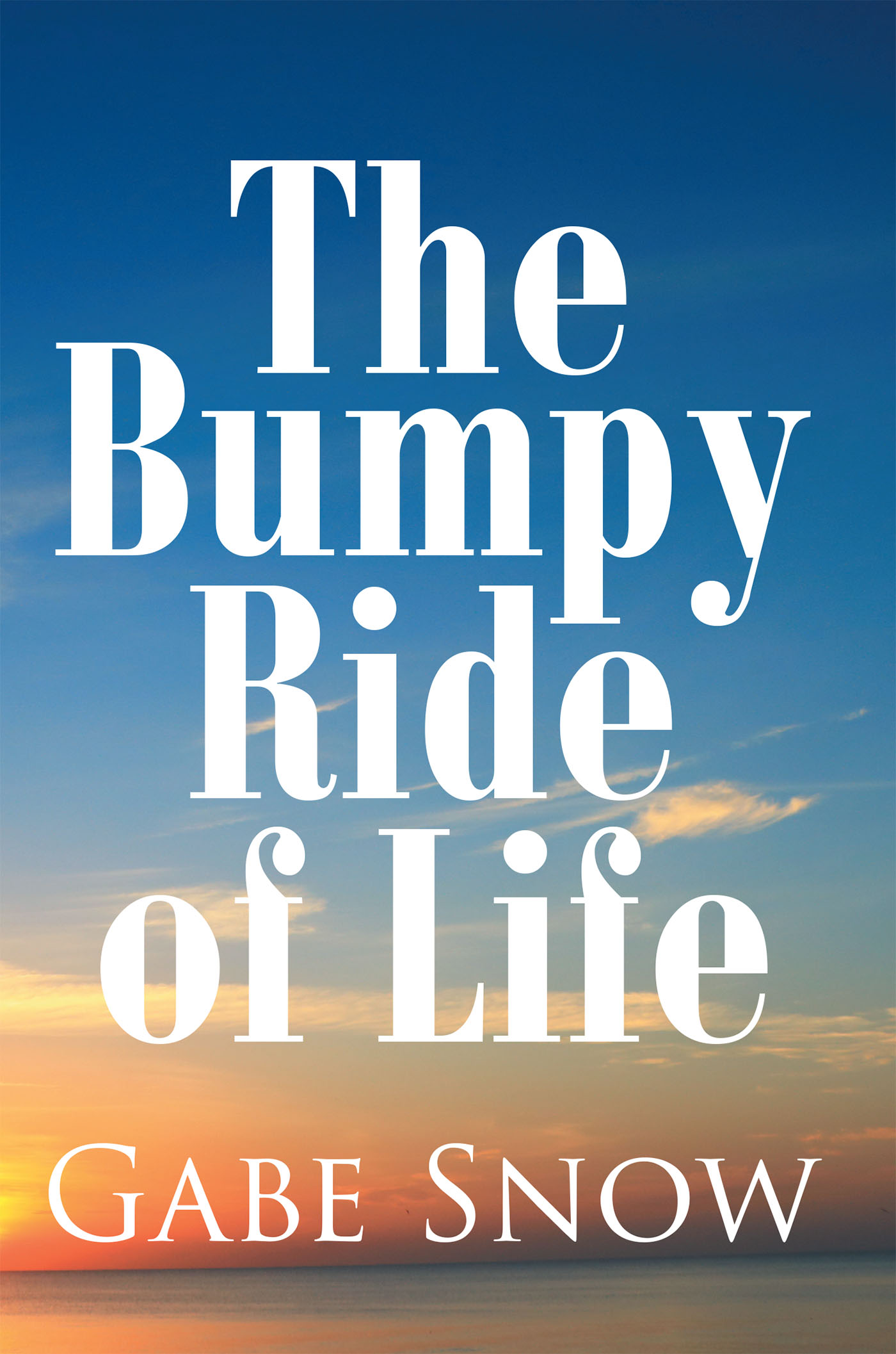 Cover image for The Bumpy Ride of Life