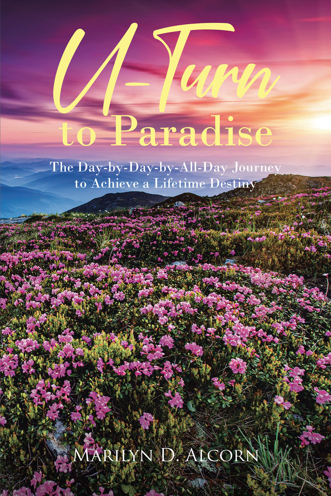 Cover image for U Turn to Paradise