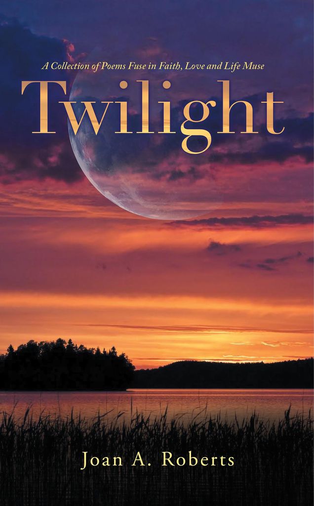 Cover image for Twilight