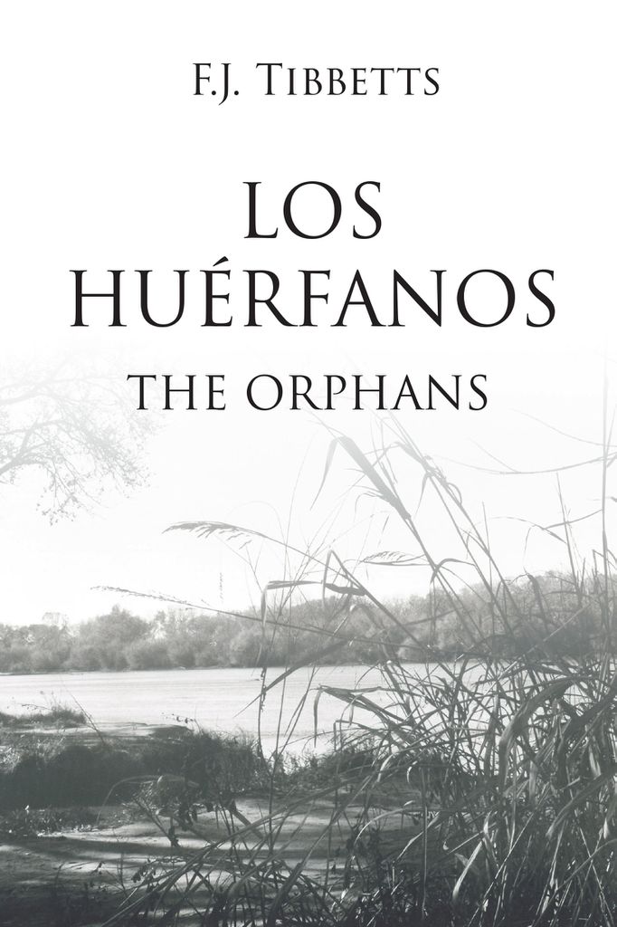 Cover image for LOS HUERFANOS