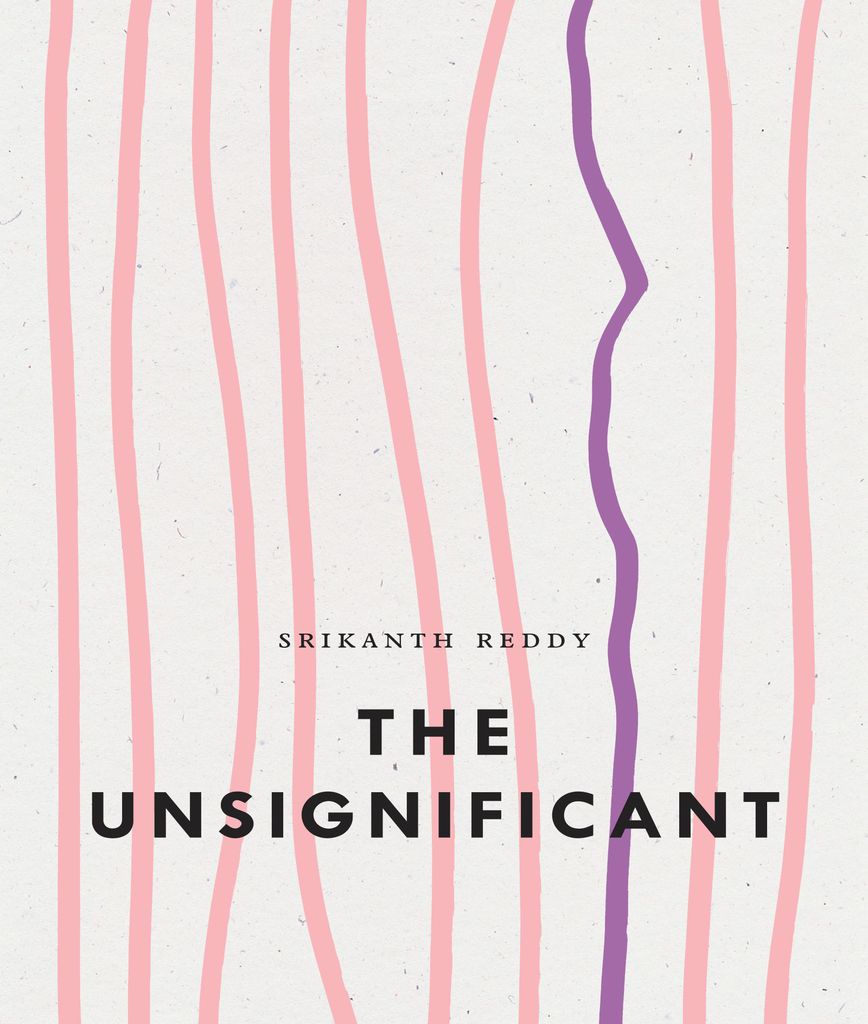 Cover image for The Unsignificant