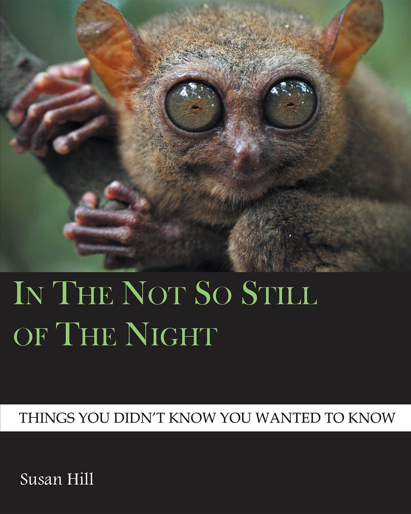 Cover image for In the Not So Still of the Night
