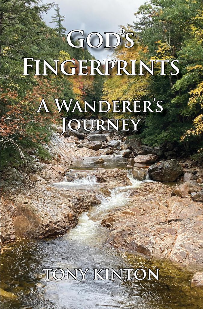 Cover image for God's Fingerprints