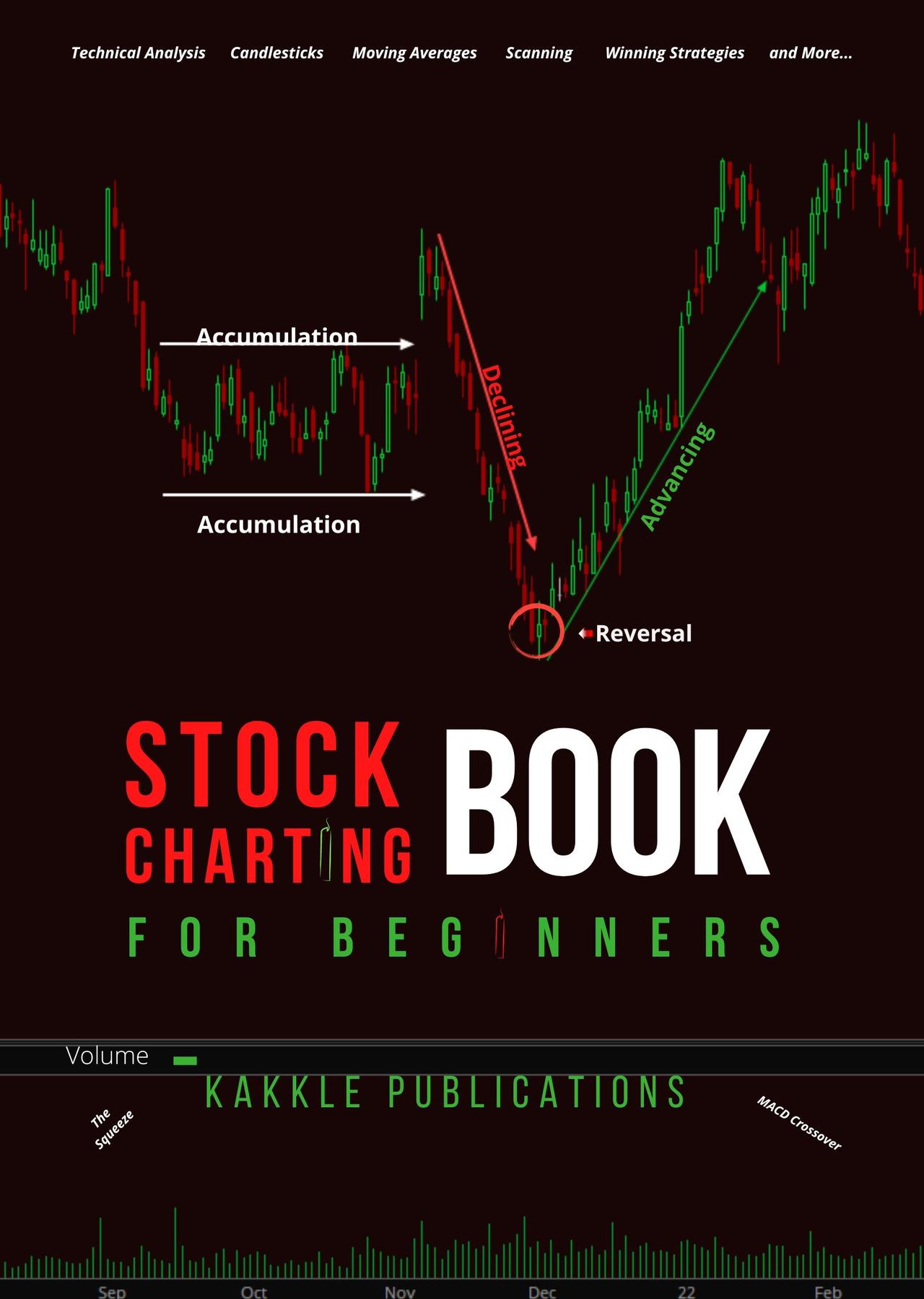 Cover image for Stock Charting Book for Beginners