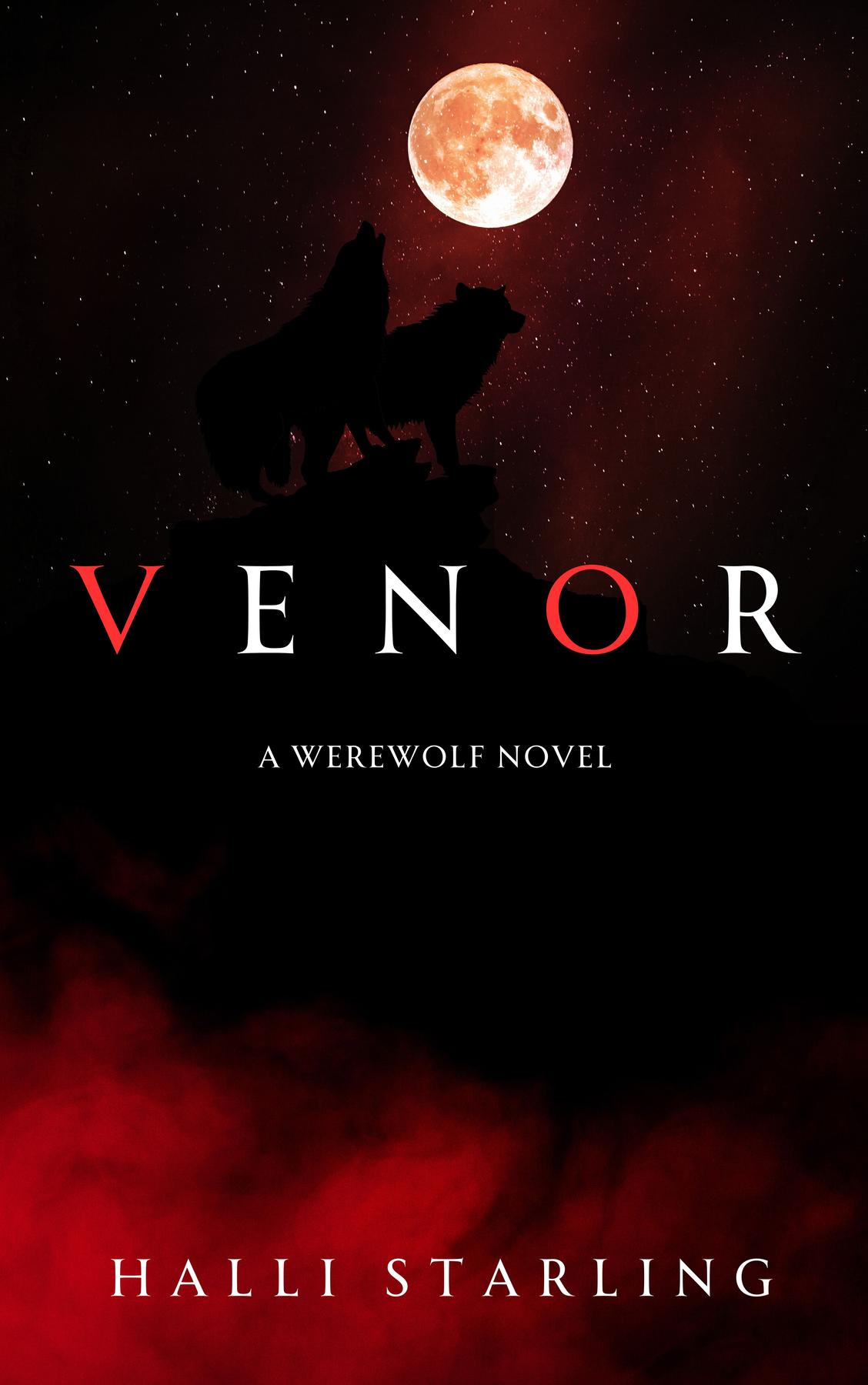 Cover image for Venor