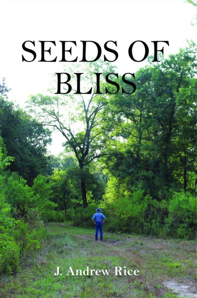Cover image for Seeds of Bliss
