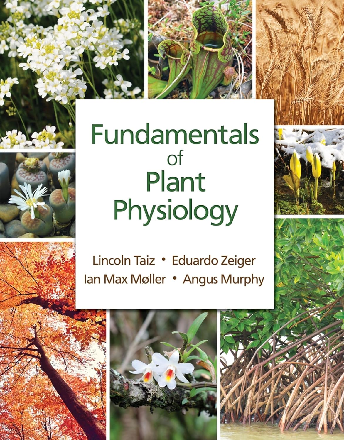 Fundamentals of Plant Physiology by: Lincoln Taiz