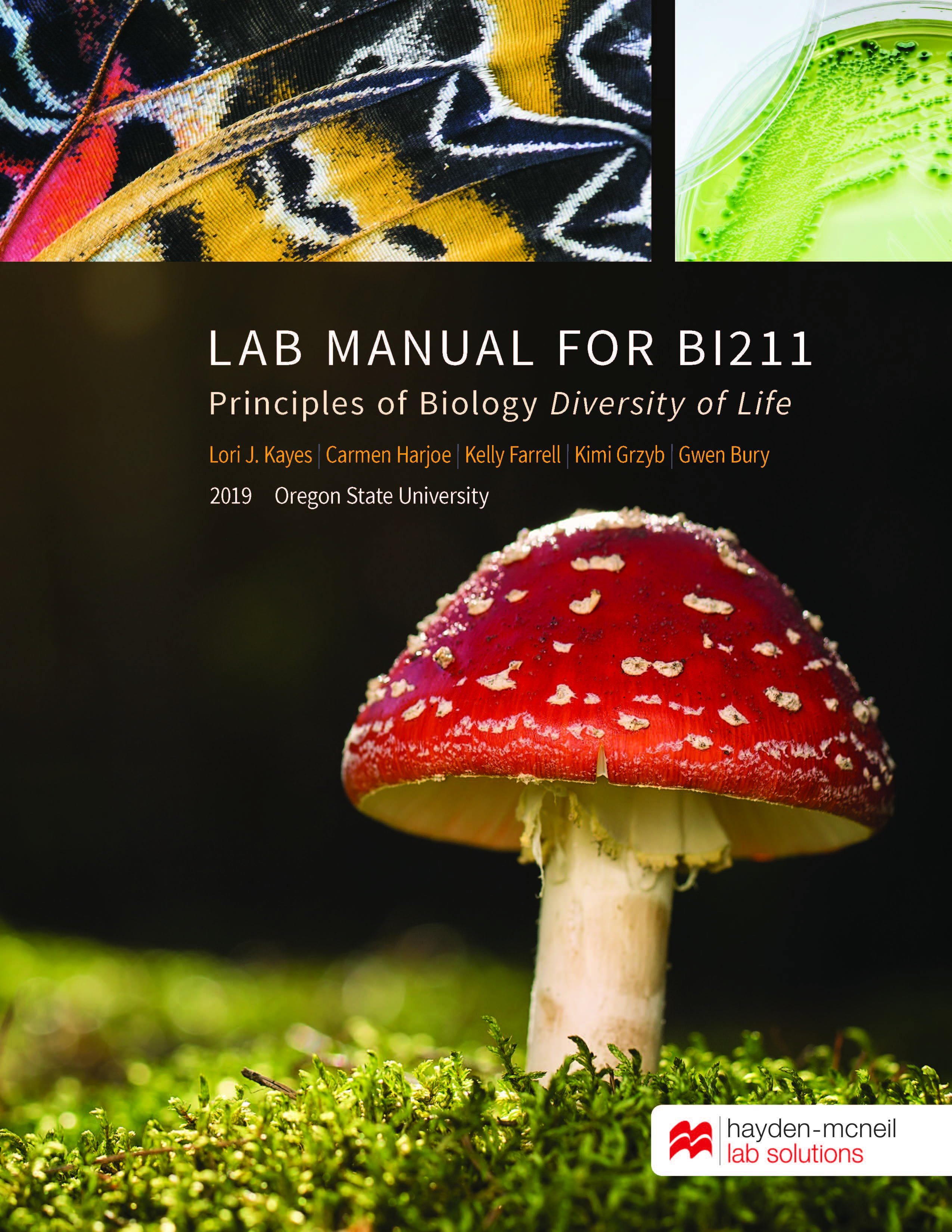 fd4320256b59f1b3e29f28cc83dfdeb081c33588c601e9b74a9ba38c96cdca74_Kayes