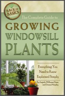The Complete Guide to Growing Windowsill Plants: Everything You Need to Know Explained Simply