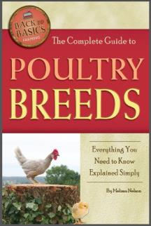 The Complete Guide to Poultry Breeds: Everything You Need to Know Explained Simply