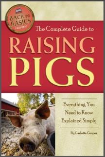 The Complete Guide to Raising Pigs: Everything You Need to Know Explained Simply