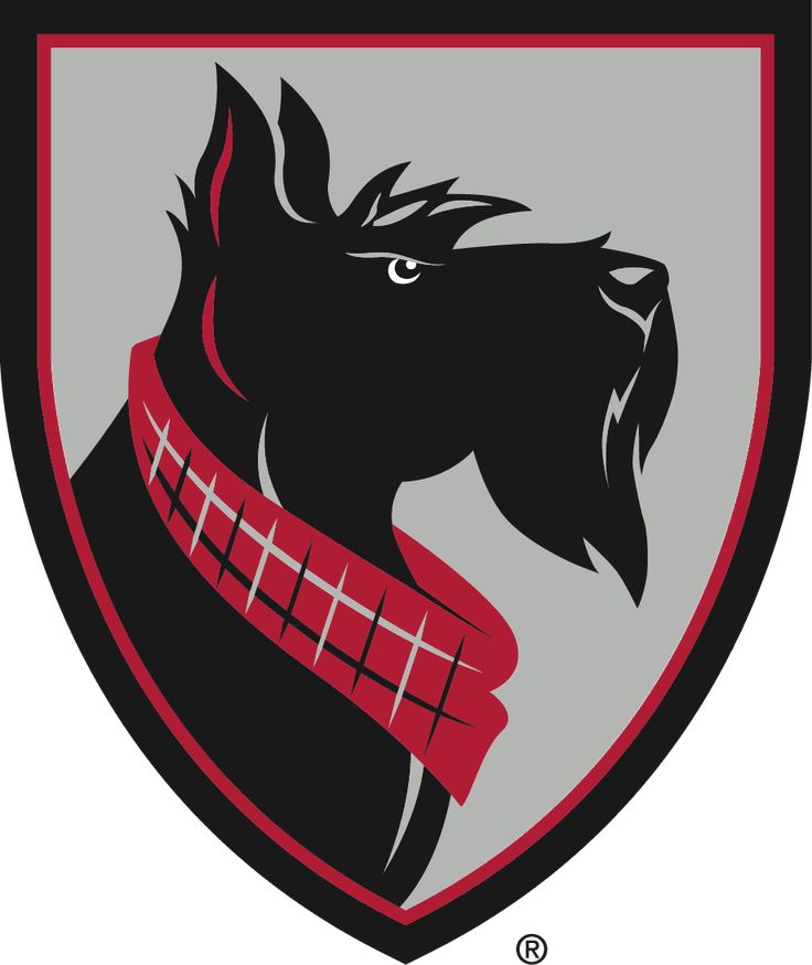 Carnegie Mellon University Store Logo