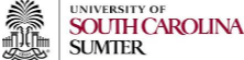 University Of South Carolina, Sumter