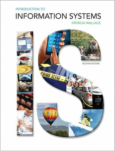 Introduction to Information Systems (Subscription)
