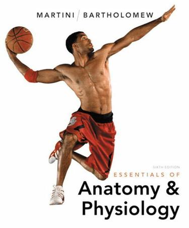 Essentials of Anatomy & Physiology (Subscription)