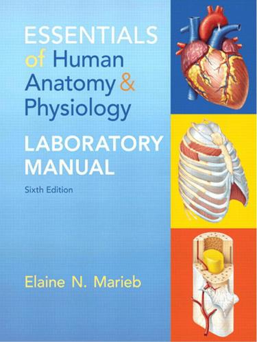 Essentials of Human Anatomy & Physiology Laboratory Manual (Subscription)