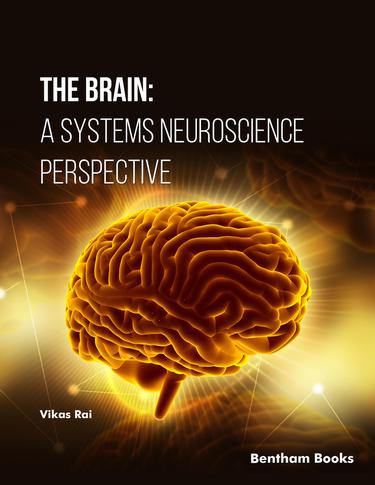 Cover image for The Brain: A Systems Neuroscience Perspective