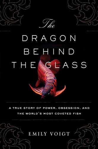 Cover image for The Dragon Behind the Glass