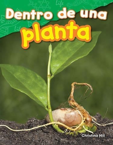 Cover image for Dentro de una planta (Inside a Plant)