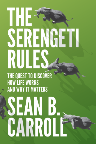 The Serengeti Rules