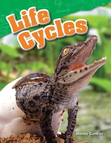 Cover image for Life Cycles