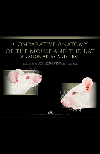 Cover image for Brenda Mouse Rat Atlas September 15 pm