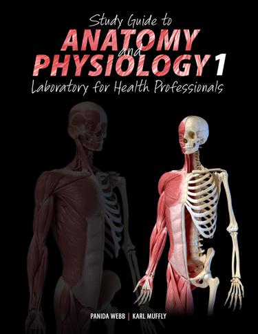 Cover image for Study Guide to Anatomy and Physiology I: Laboratory for Health Professionals