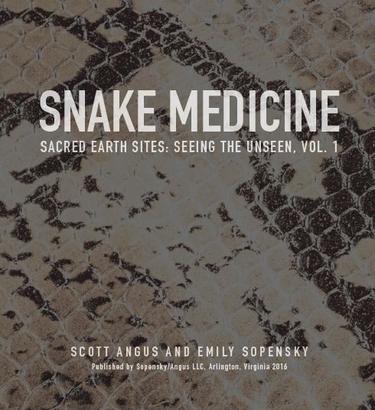 Cover image for Snake Medicine 