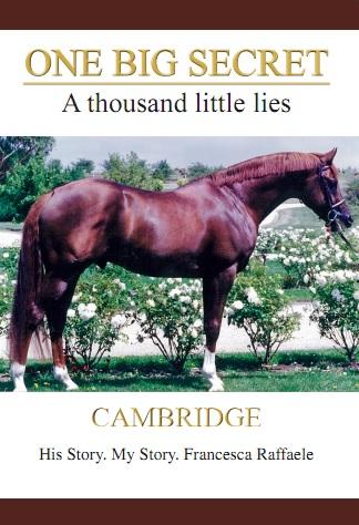 Cover image for One big secret. a thousand little lies