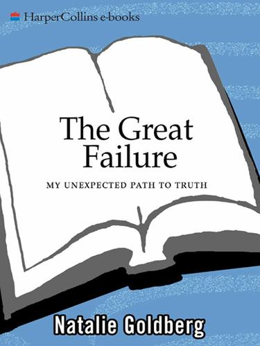 Cover image for The Great Failure