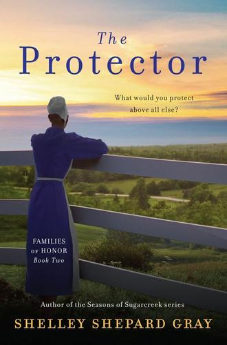 Cover image for The Protector