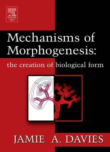 Cover image for Mechanisms of Morphogenesis