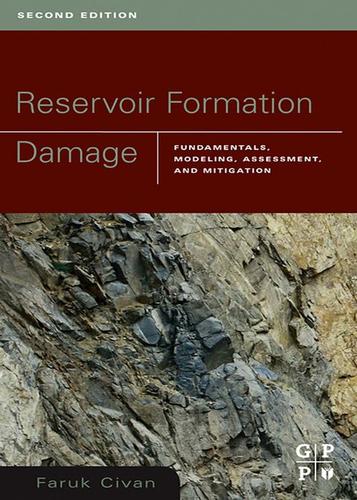 Cover image for Reservoir Formation Damage